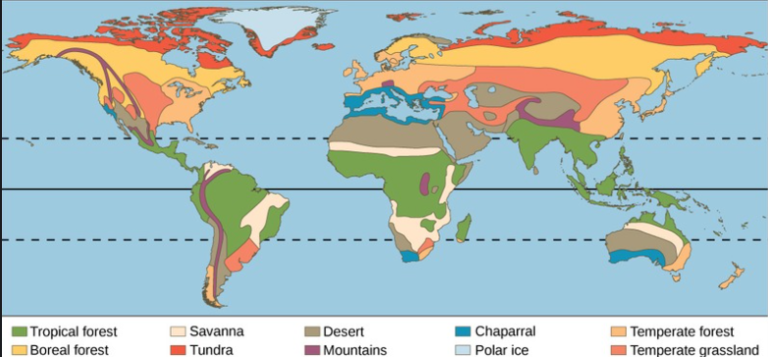 Terrestrial Biomes